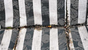 Are Waterproof Patio Cushions Safe from Mold and Mildew? (Explained)