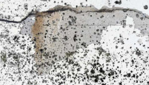 What Causes Black Spots on Concrete? (4 Types Explained)