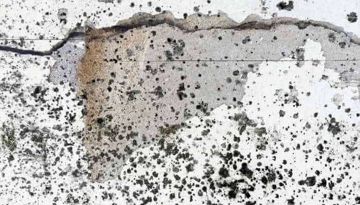 How to Clean Black Spots on Concrete