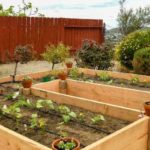 7 Things to Know About Raised Bed Gardens