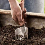 What Soil to Use in Raised Bed Garden