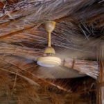 Are Outdoor Ceiling Fans Worth It?