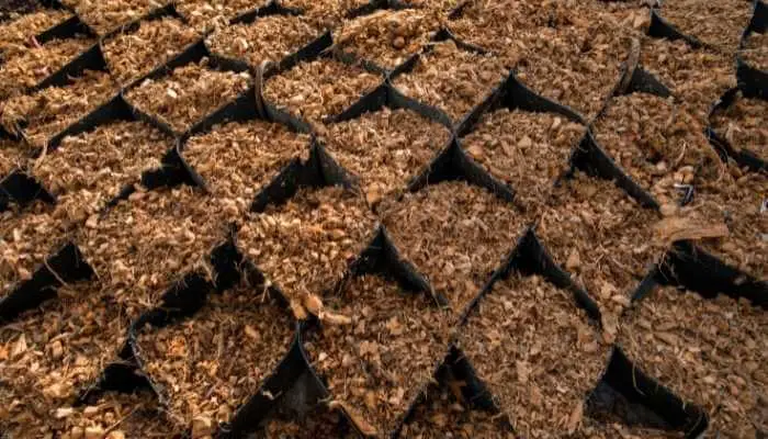 How to Clean and Reuse Coco Coir (4 Great Tips)