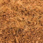 What is Coco Coir & Should I Use It?