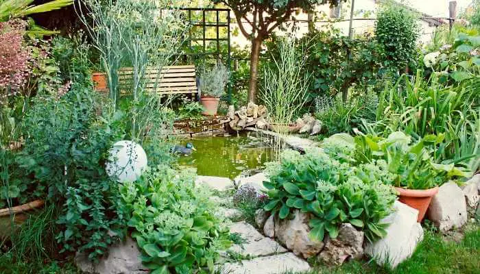 How can a pond benefit your vegetable garden?