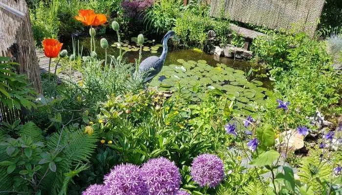 What Types of Wildlife are Attracted to Garden Ponds