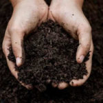 How To Get Healthy Soil (A Beginner's DIY Guide to Soil)