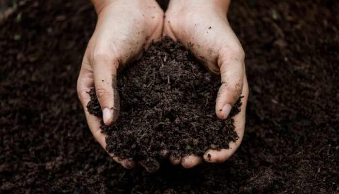 How to get Healthy Soil