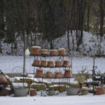 Things to do With Raised Garden Beds in Winter (With Examples)