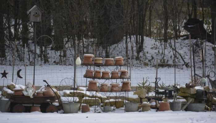 Things to do with a raised garden in winter