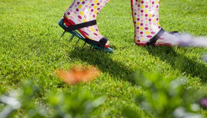 Aerating Your Lawn for Success