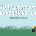 10 Ways You're Ruining Your Lawn (Beginner's Guide)