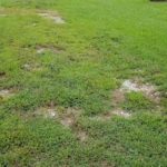 How to Fix a Gravel Driveway Overgrown by Grass
