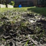 What Should I Do About a Muddy Yard in Winter?