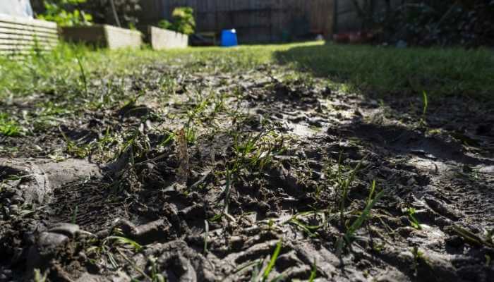 What Should I Do About a Muddy Yard in Winter?
