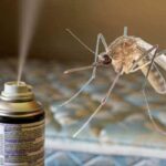 Do Mosquito Foggers Work? (Answered)